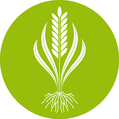 novel-plant-growth-icon
