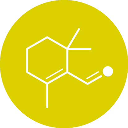 Phytohormones-icon